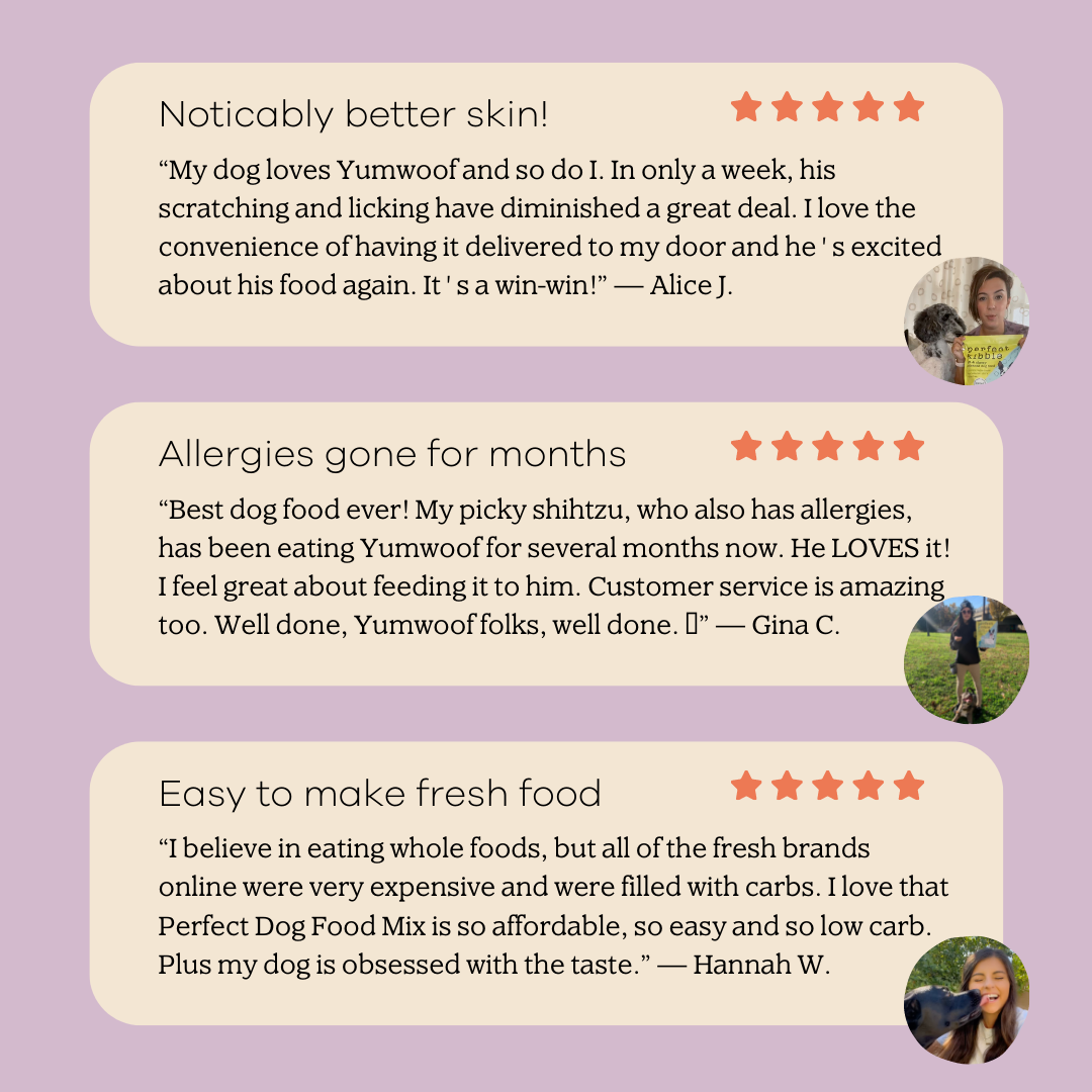 Perfect Dog Food Mix - Sample Size-4