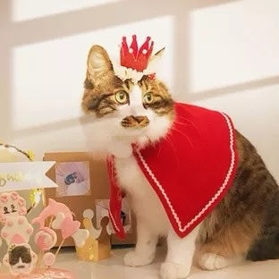 Crown for pets-0