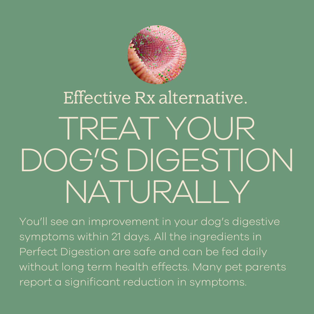 Perfect Digestion-1