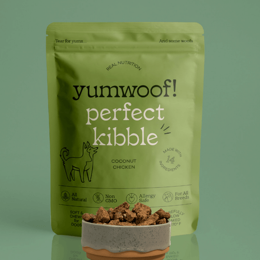 Perfect Kibble - Sample Size - Premium Coconut Chicken Recipe-0