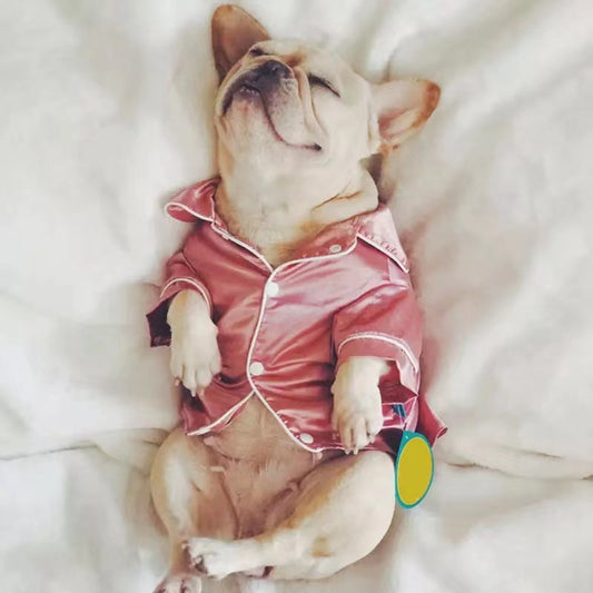 Pet Pajama-1