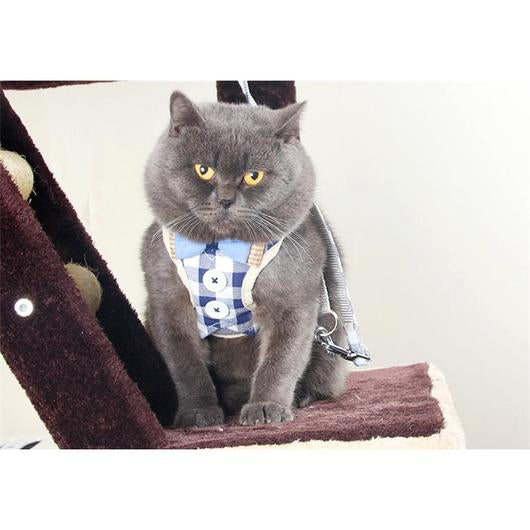PAWSOME Cats Harness and Leash Set-0