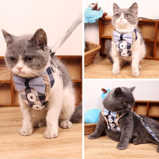 PAWSOME Cats Harness and Leash Set-2