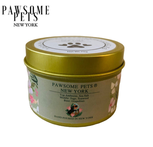 CANDLE - SEA SALT AND SAGE-0