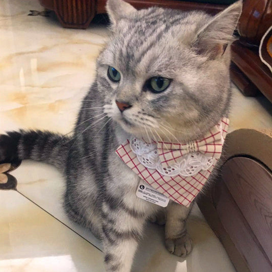 Gentle bibs-1