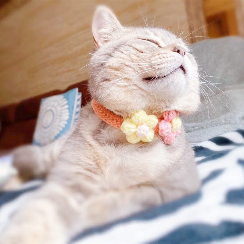 Handmade Floral collars with bell-3