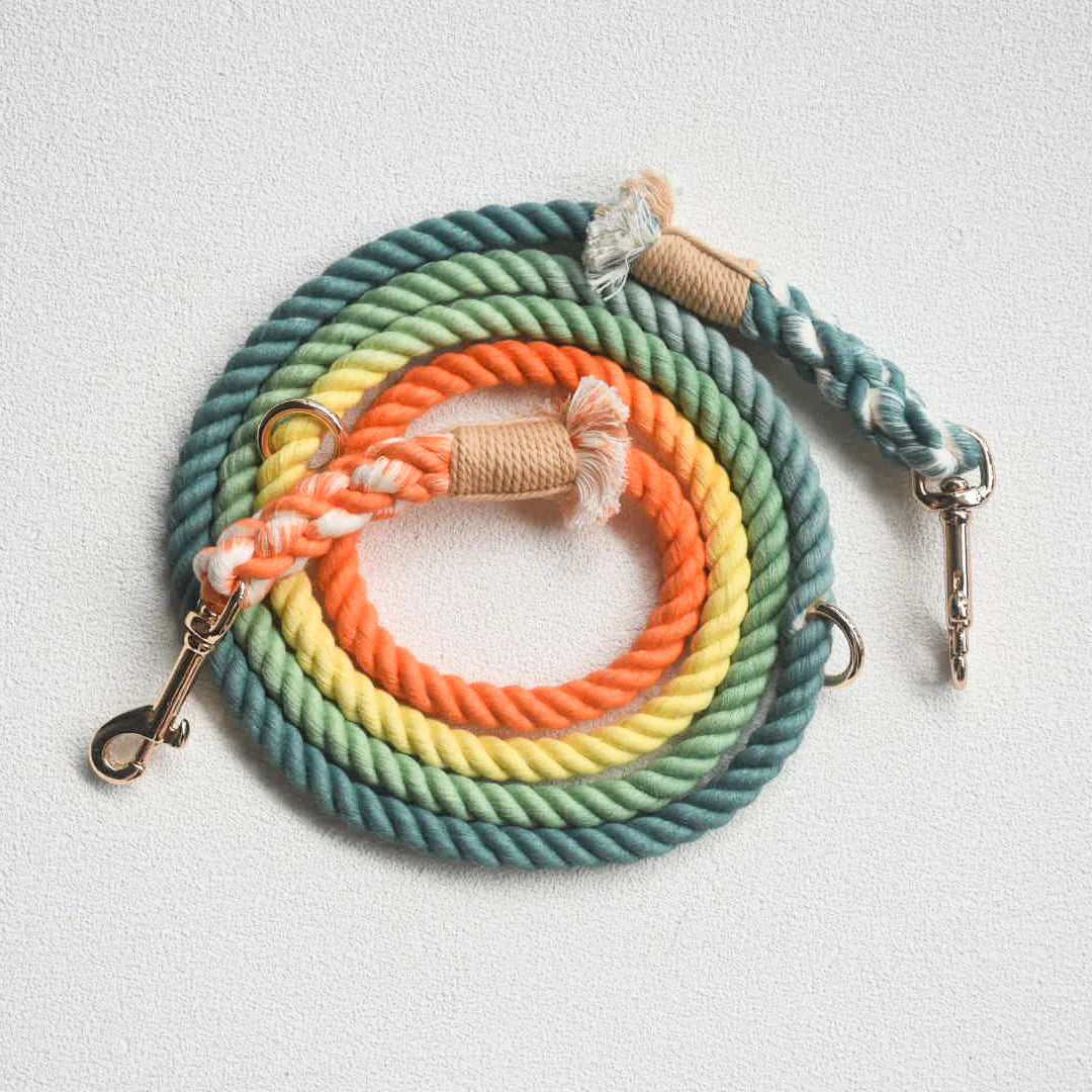 HANDS FREE DOG ROPE LEASH - FOREST SHADE-3