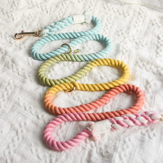 ROPE LEASH - SWEET LOLLIE-1