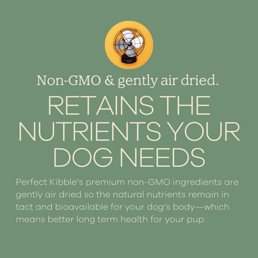 Perfect Kibble - Sample Size - Premium Coconut Chicken Recipe-1