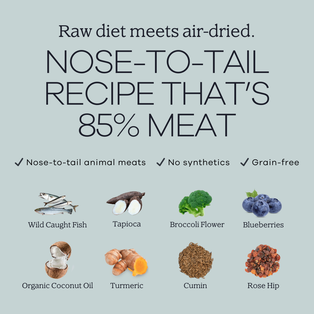 Perfect Superfood-4