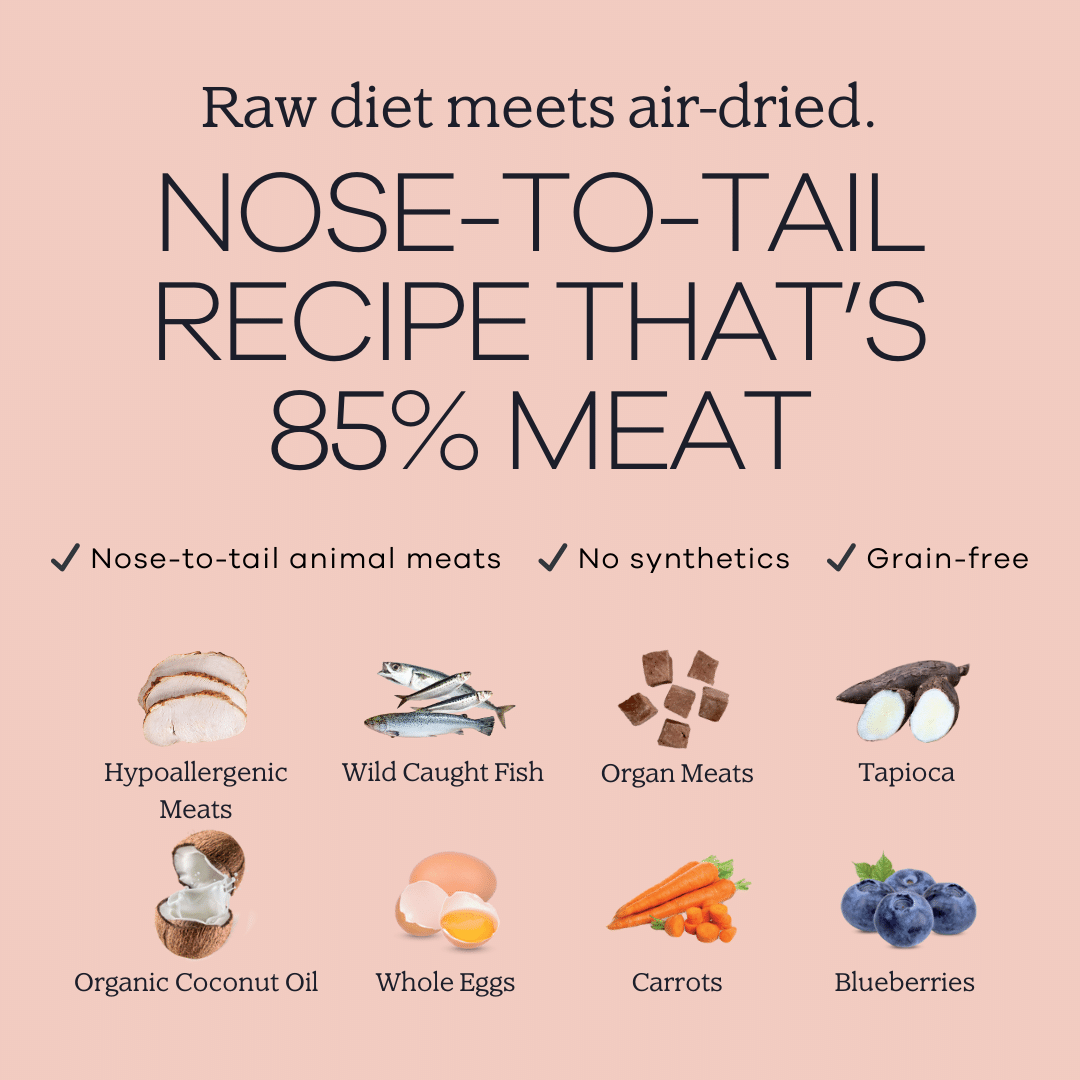 Perfect Superfood-2