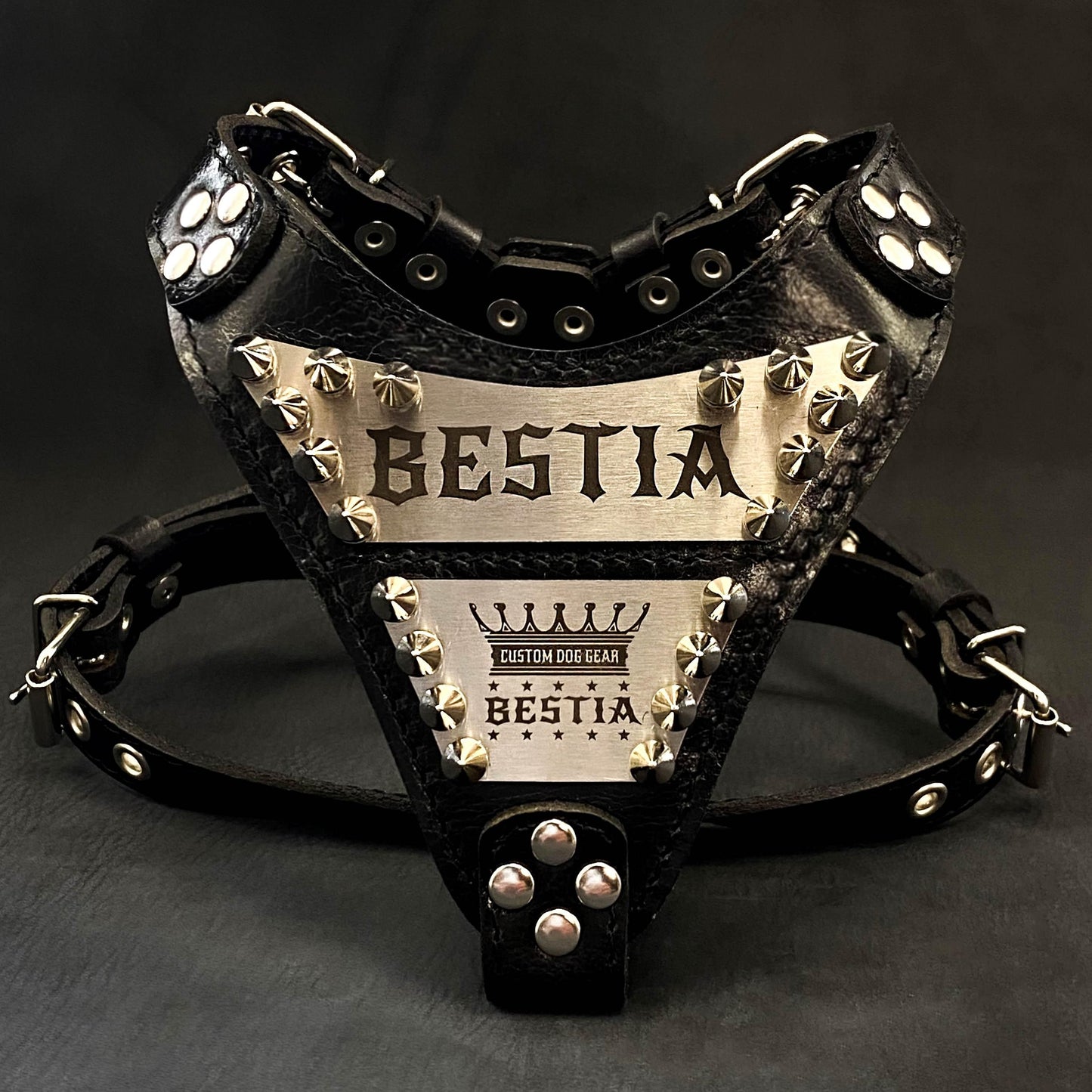 The "Metal" harness small to medium size - Personalized-0