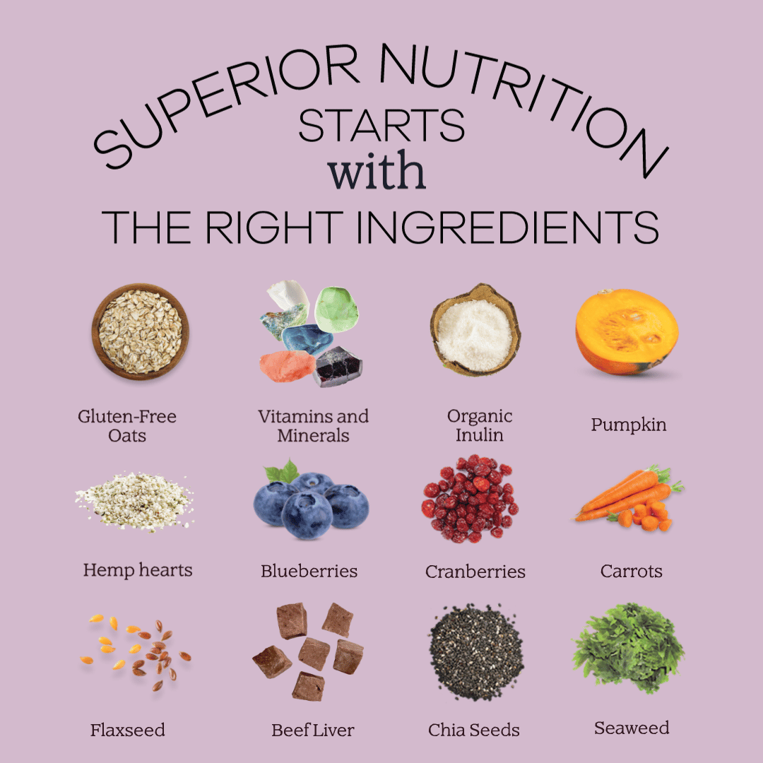 Perfect Dog Food Mix - Sample Size-1