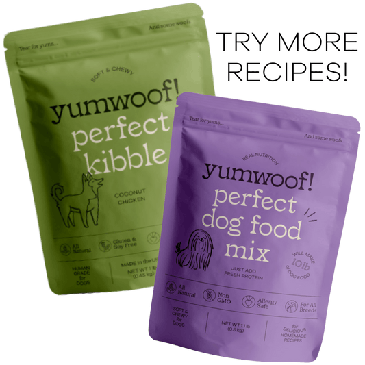 Picky Eater Starter Pack - Add Perfect Kibble Coconut Chicken (14 oz) + Perfect Dog Food Mix-0