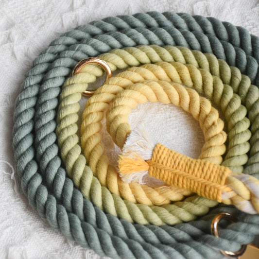 HANDS FREE DOG ROPE LEASH - AVOCADO-1