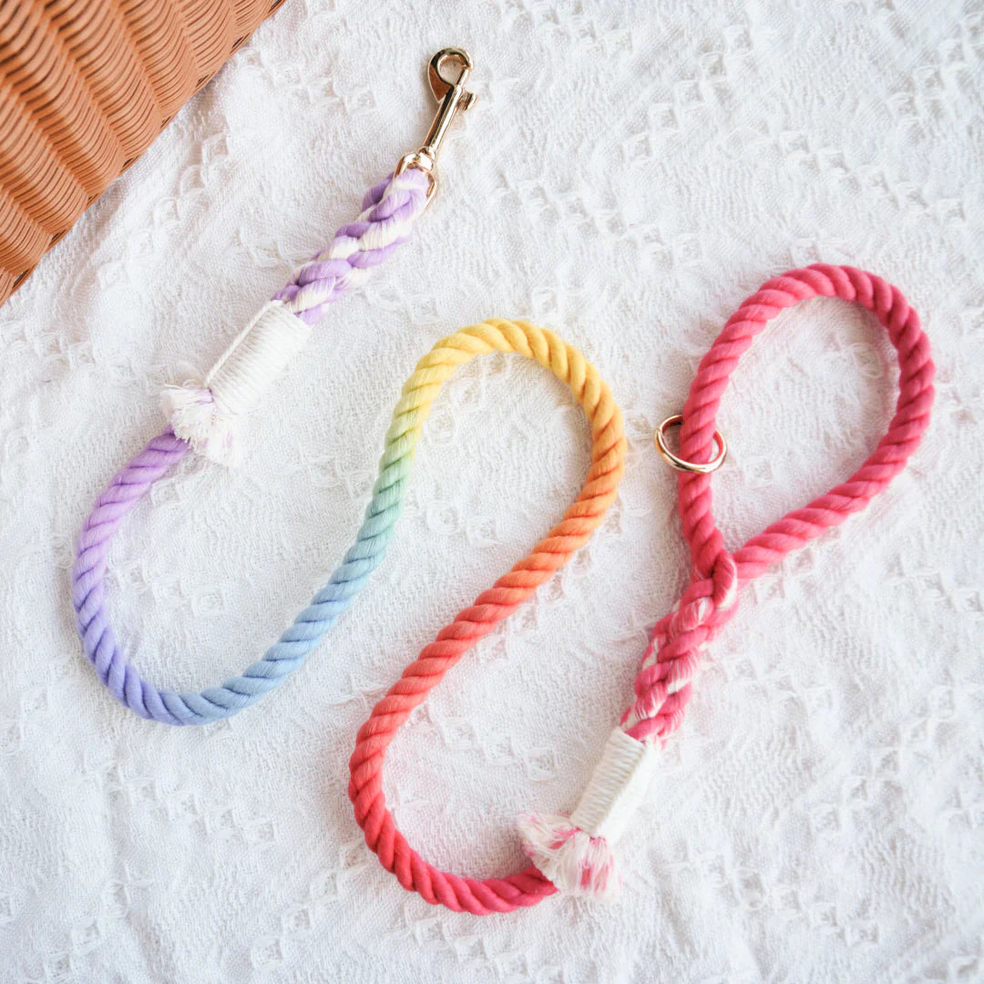 ROPE LEASH - DREAM RAINBOW-0