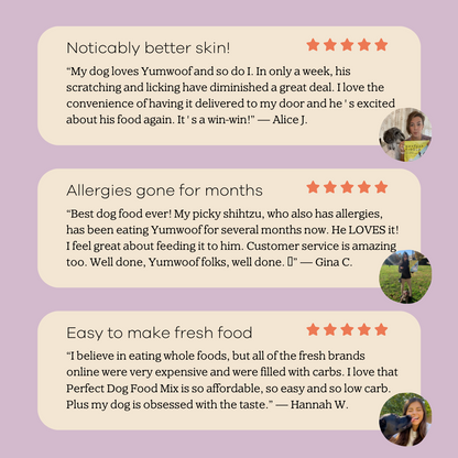 Perfect Dog Food Mix-3