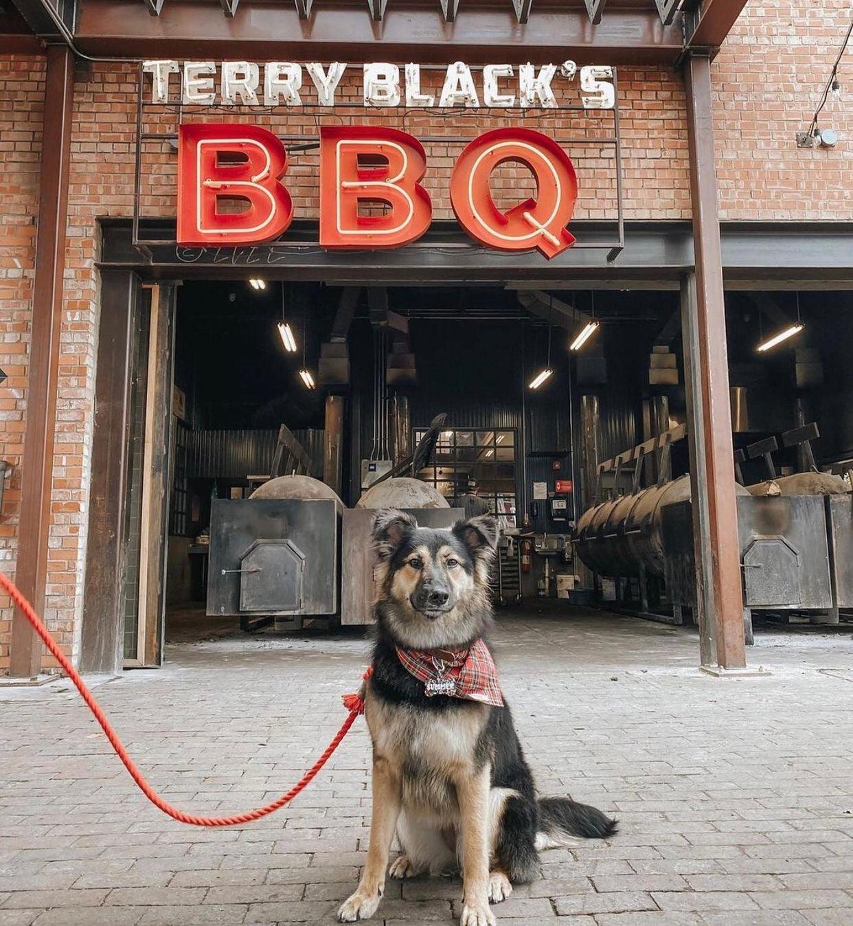 ROPE LEASH - PRIMROSE-2