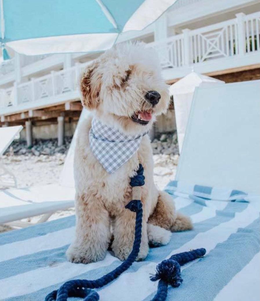 ROPE LEASH - SUNSET-4