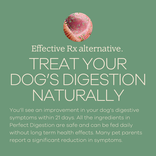 Perfect Digestion-1