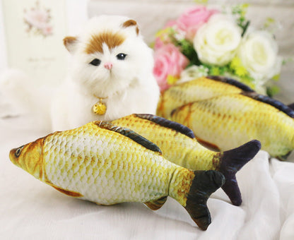 Catnip Fish with sound for Pets-4