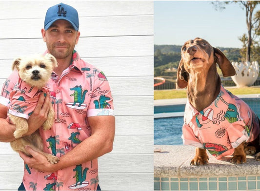 Hawaii Shirt-1