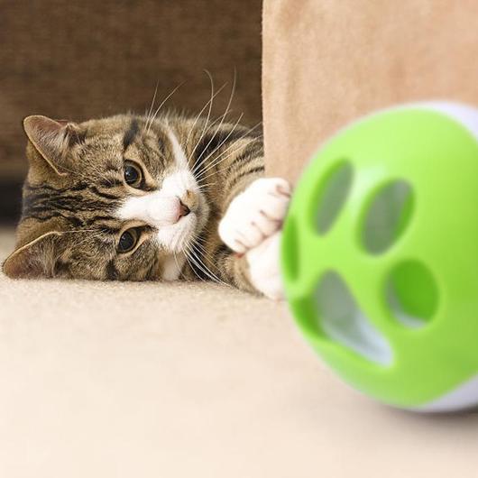 Treat Ball With Sound & Light-1