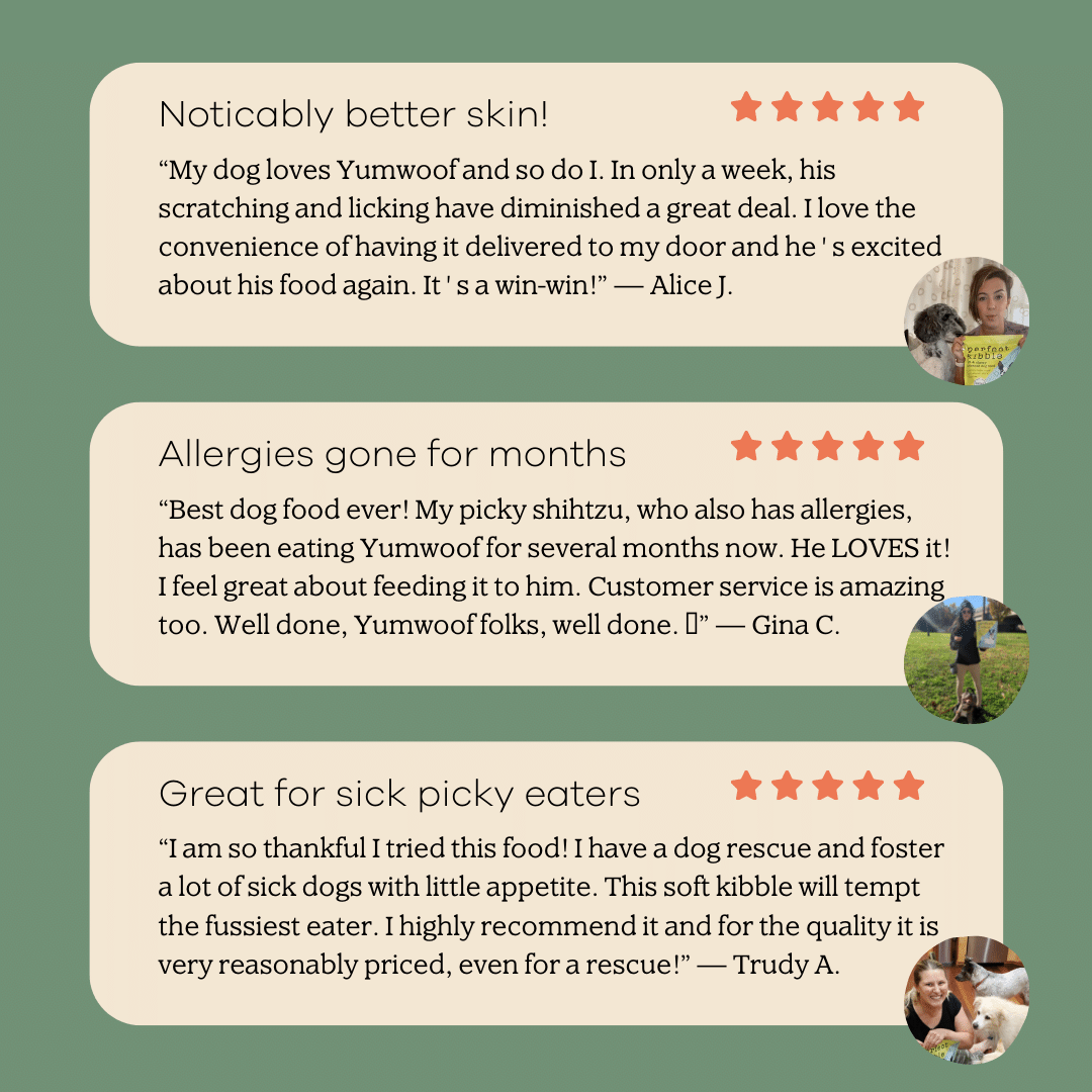 Perfect Kibble - 7 Day Trial-3