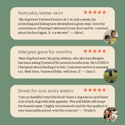 Perfect Kibble - 7 Day Trial-3