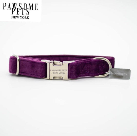 SMALL SIZE DOG & CAT COLLAR - DARK PURPLE VELVET-0