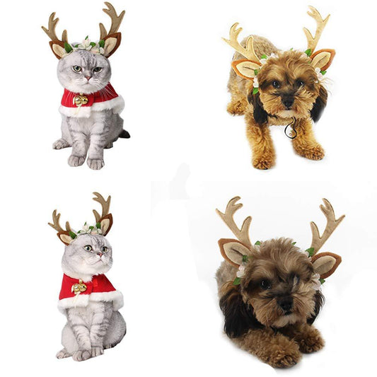 Reindeer look for pets-0