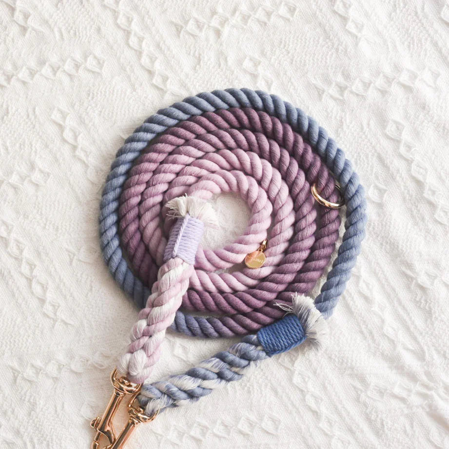 ROPE LEASH - BEAUTIFUL VIOLET-2