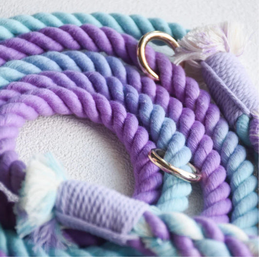 HANDS FREE ROPE LEASH - AURORA-1