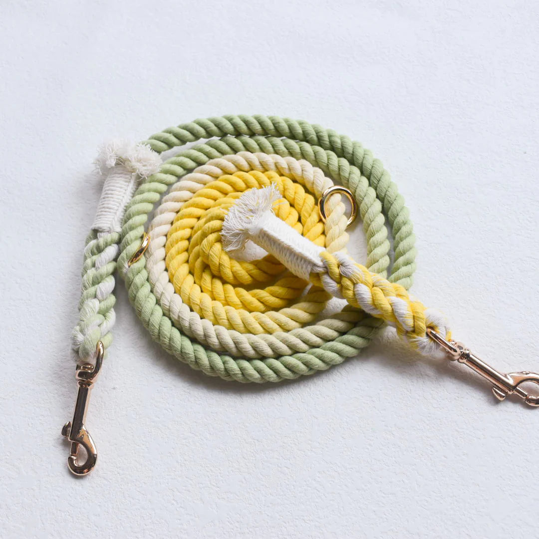 HANDS FREE DOG ROPE LEASH - LIME LEMONADE-1