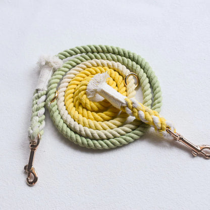 HANDS FREE DOG ROPE LEASH - LIME LEMONADE-1