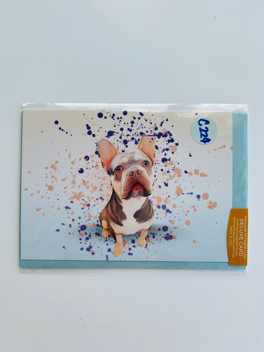 PETS GREETING CARD - #210-0