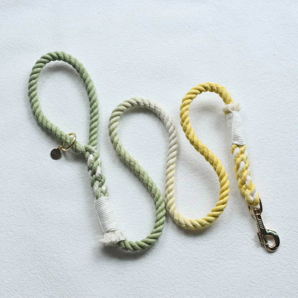 HANDS FREE DOG ROPE LEASH - LIME LEMONADE-2