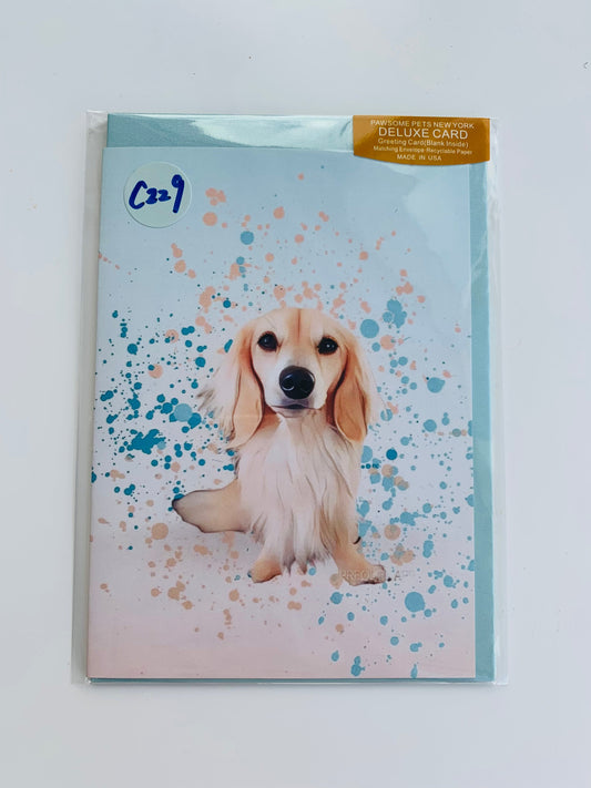 PETS GREETING CARD - #206-0