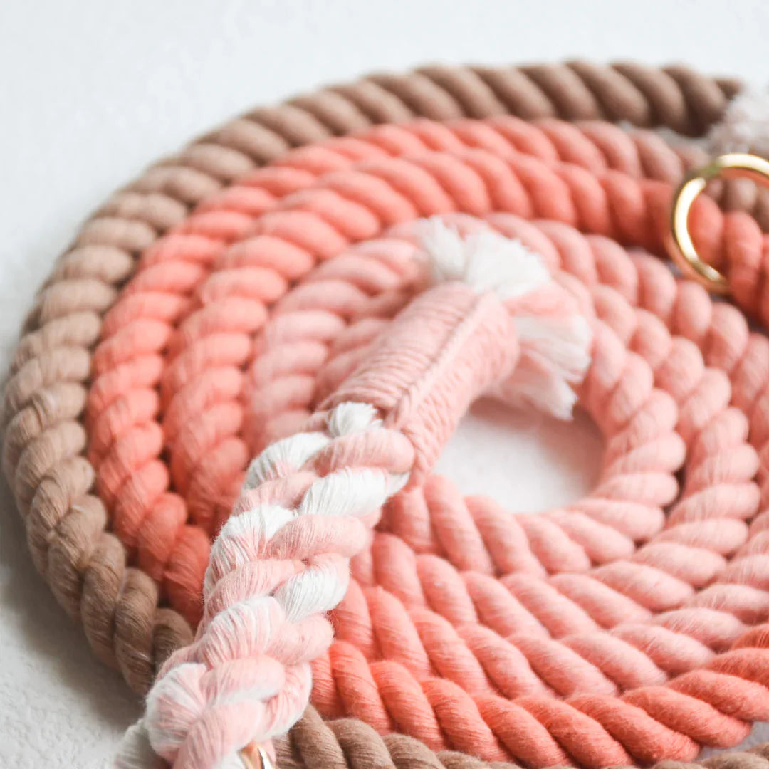 HANDS FREE DOG ROPE LEASH - PEACH AND BROWN-1