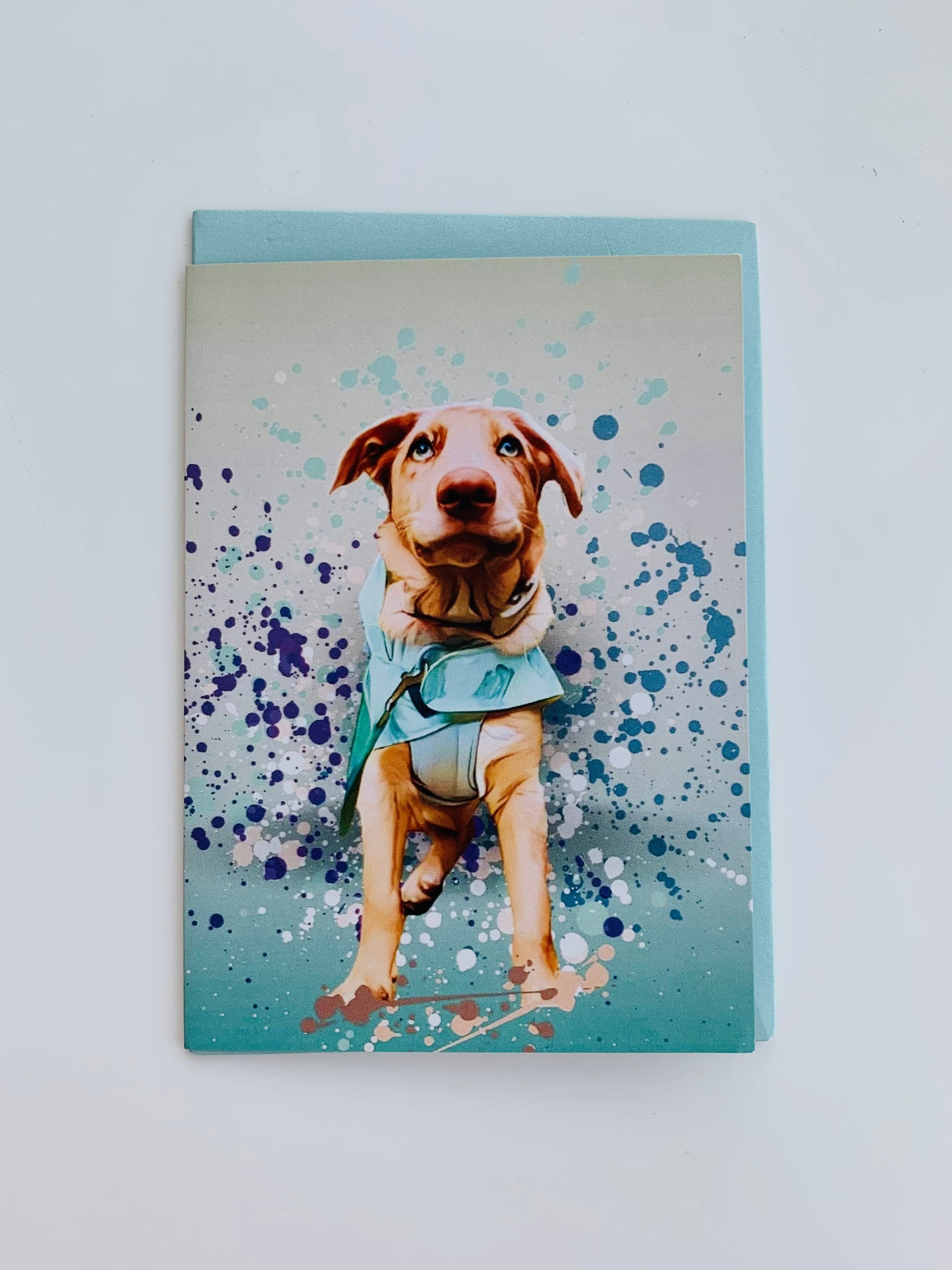 PETS CARD - #159-0