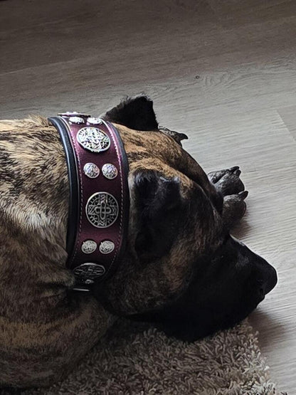 The "Hektor" Burgundy Collar LIMITED-3