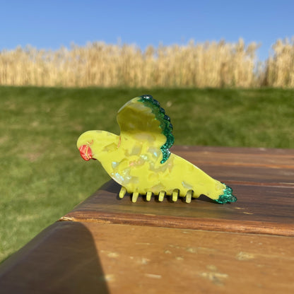 PAWSOME PETS NEW YORK Hand-painted BIRDS Claw Hair Clip #2 | Eco-Friendly-0