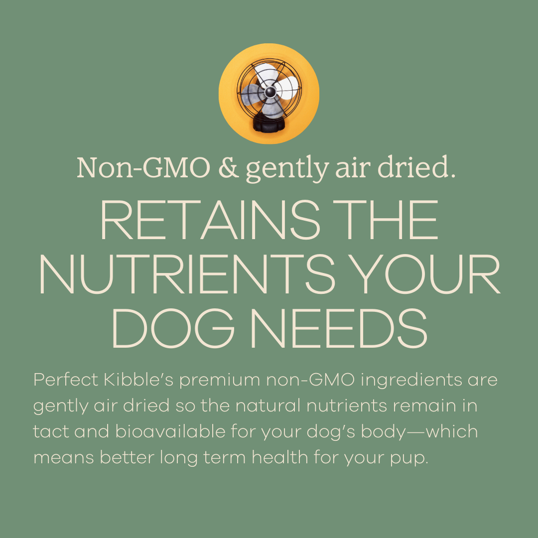 Perfect Kibble - Sample Size - Premium Coconut Chicken Recipe-1