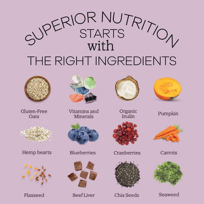 Perfect Dog Food Mix-1