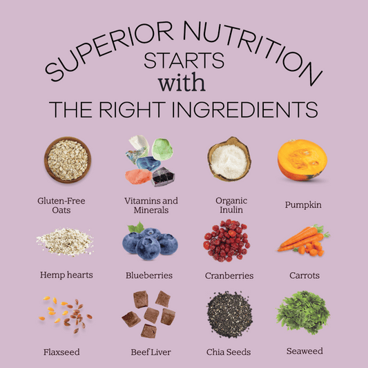 Perfect Dog Food Mix - Sample Size-1