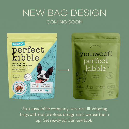 Perfect Kibble - 7 Day Trial-1
