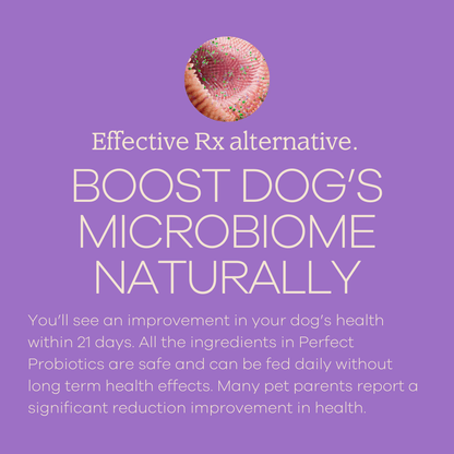 Perfect Probiotics-1