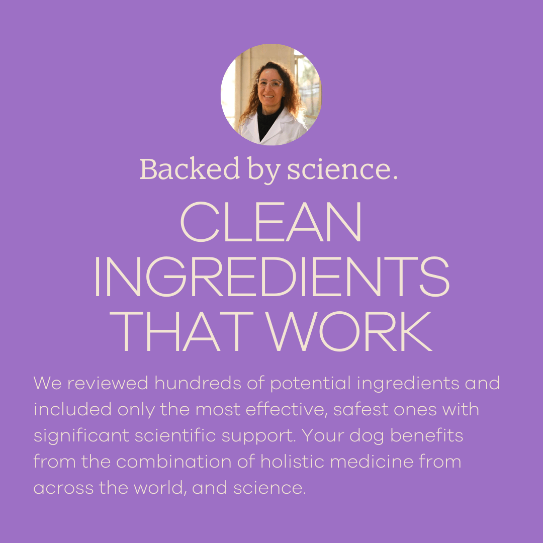 Perfect Probiotics-2