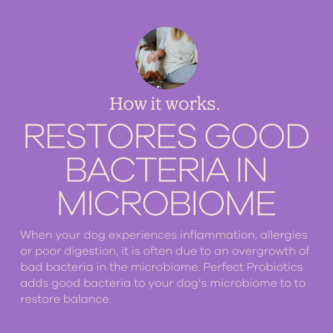 Perfect Probiotics-3