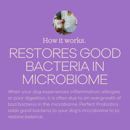Perfect Probiotics-3